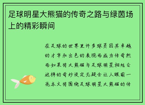 足球明星大熊猫的传奇之路与绿茵场上的精彩瞬间